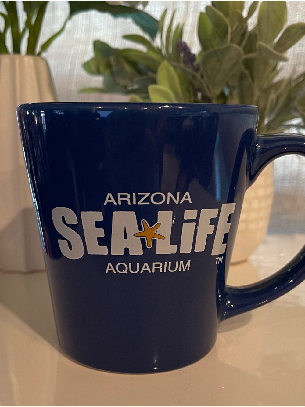 Arizona Sea Life Aquarium Ceramic Mug